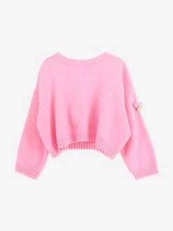 Girls Roberta Cropped Jumper With Wings In Pink