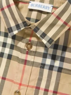 Baby Boys Check Mini Owen Shirt In Beige 6 Baby Boys Check Mini Owen Shirt In Beige -Childrens Clothing Store BURS4127 BEIGE 3