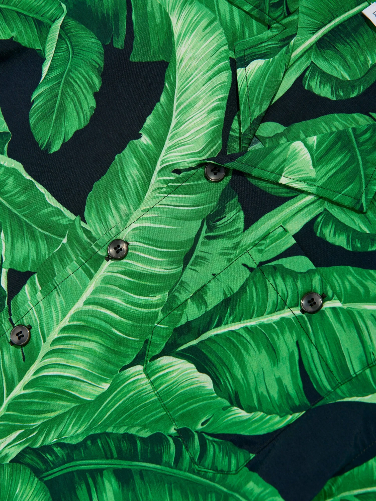 Boys Banana Leaf Shirt In Green 5 Boys Banana Leaf Shirt In Green - Image 5