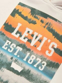 Boys Landscape Box Hoodie In Beige -Childrens Clothing Store LEVS4096 BEIGE 3