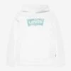 Boys Palm Batwing Fill Hoodie In White