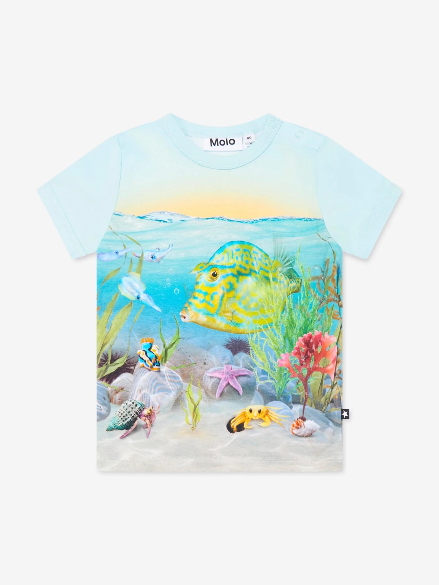 Molo Baby Tropic Sea T-Shirt In Blue 1 Molo Baby Tropic Sea T-Shirt In Blue