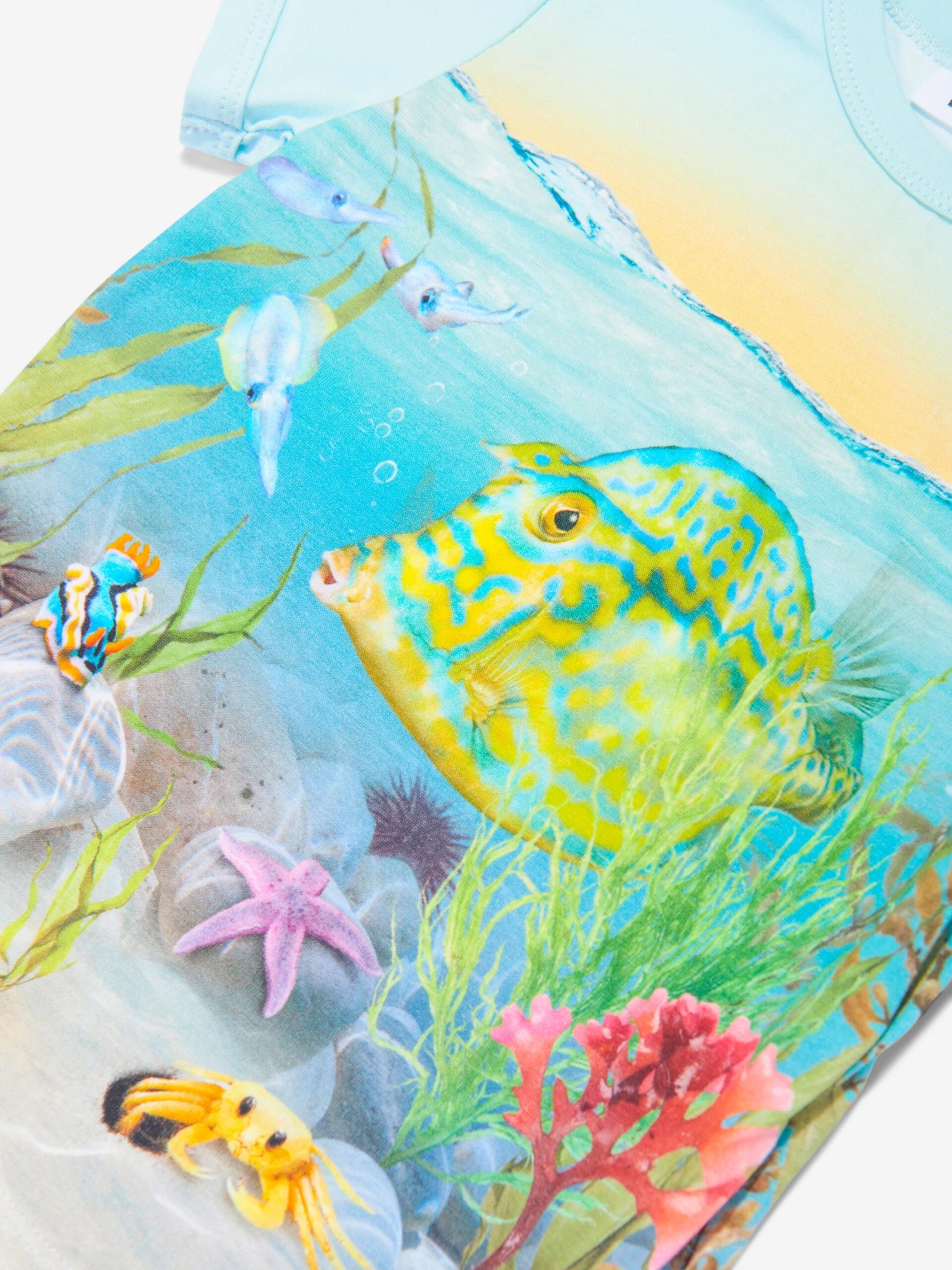 Molo Baby Tropic Sea T-Shirt In Blue 3 Molo Baby Tropic Sea T-Shirt In Blue - Image 3