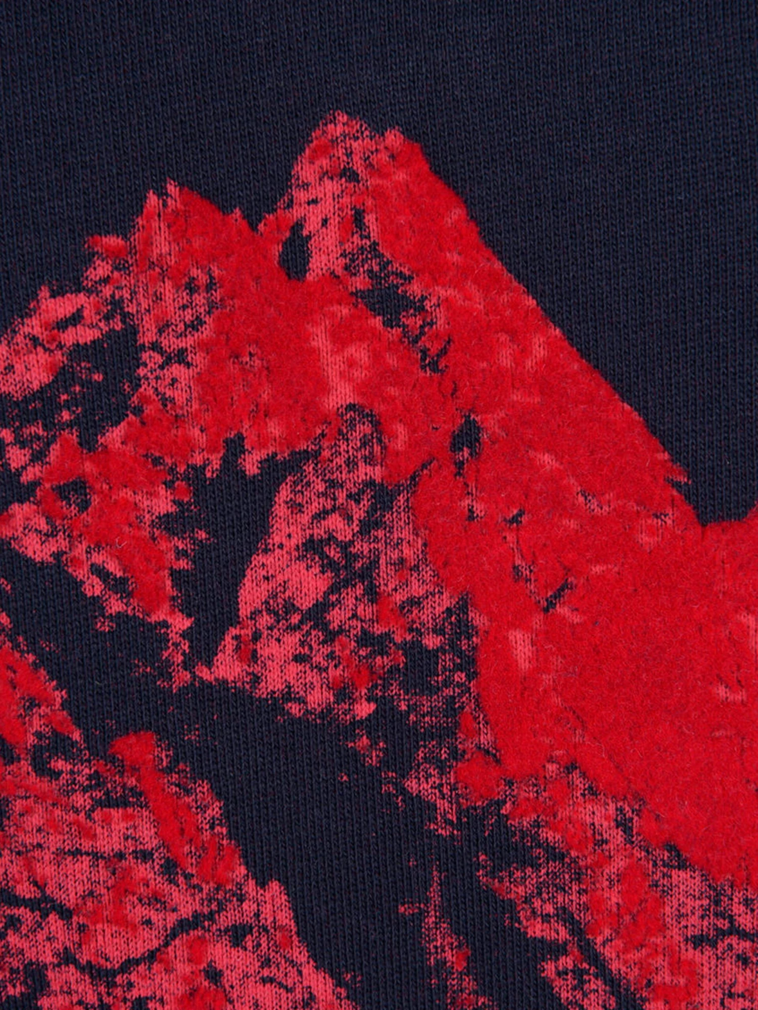 Moncler Boys Cotton Logo Sweater 4 Moncler Boys Cotton Logo Sweater - Image 4