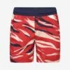 Boys Swim Shorts