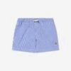 Boys Seersucker Swim Shorts In Blue