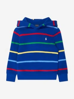 Boys Striped Hoodie In Blue