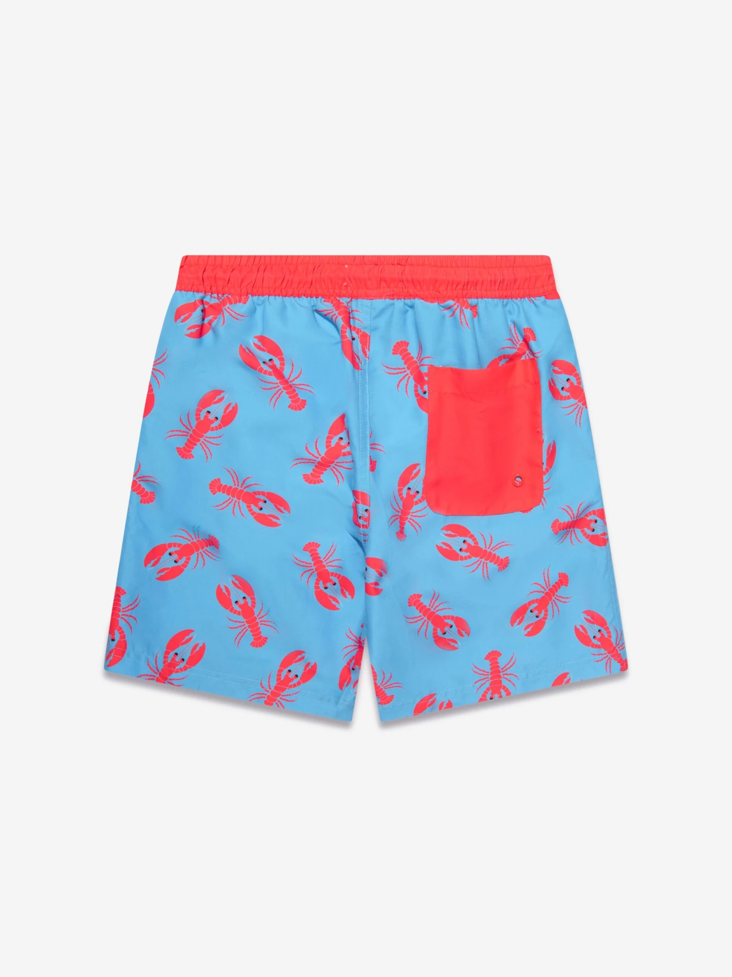 Boys Lobster Swim Shorts (UPF50+) In Blue 3 Boys Lobster Swim Shorts (UPF50+) In Blue - Image 3