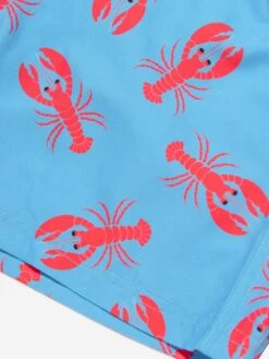 Boys Lobster Swim Shorts (UPF50+) In Blue 8 Boys Lobster Swim Shorts (UPF50+) In Blue -Childrens Clothing Store SOLS4009 1087 MULTI 3