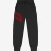 SPRAYGROUND Boys Basic Logo Joggers In Black