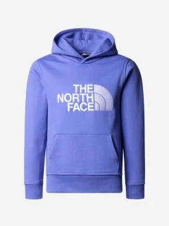 The North Face Boys Drew Peak Hoodie In Blue