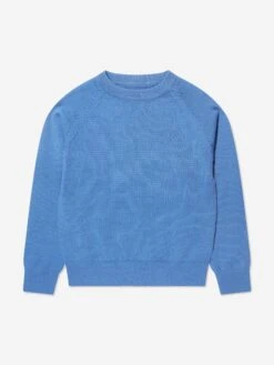Trussardi Boys Hershel Sweatshirt In Blue